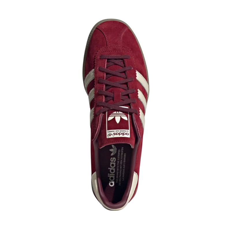 Adidas Bermuda Collegiate Burgundy